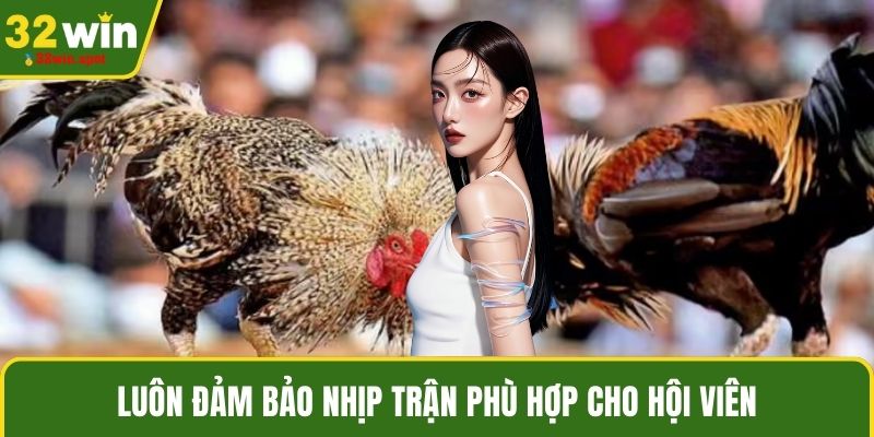 Luôn đảm bảo nhịp trận phù hợp cho hội viên