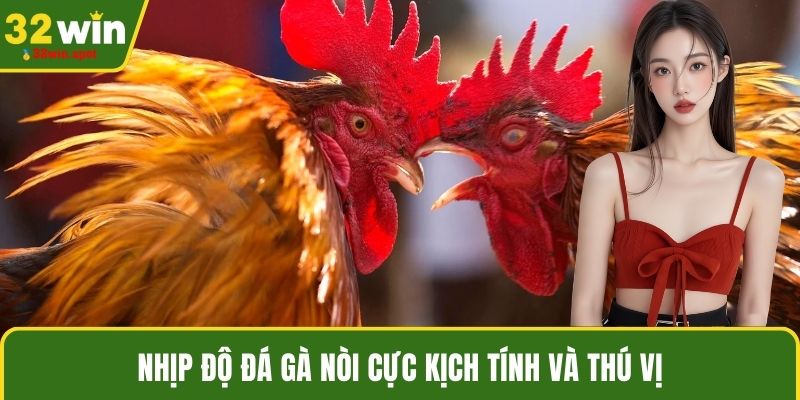 Nhịp độ đá gà nòi cực kịch tính và thú vị