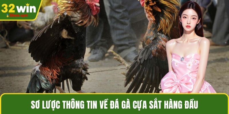 Sơ lược thông tin về Đá gà cựa sắt hàng đầu